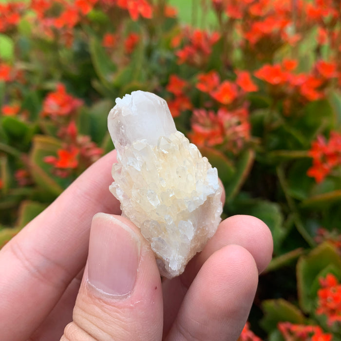 26g 4x3x2cm White Pineapple Quartz from Madagascar