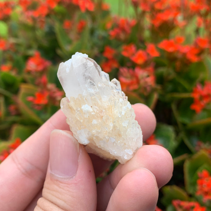 26g 4x3x2cm White Pineapple Quartz from Madagascar