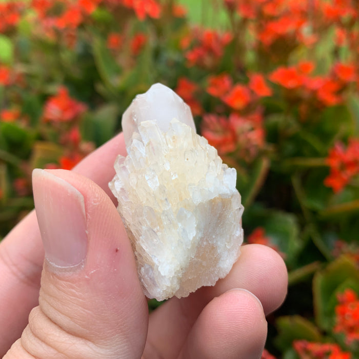 26g 4x3x2cm White Pineapple Quartz from Madagascar
