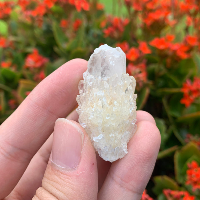26g 4x3x2cm White Pineapple Quartz from Madagascar