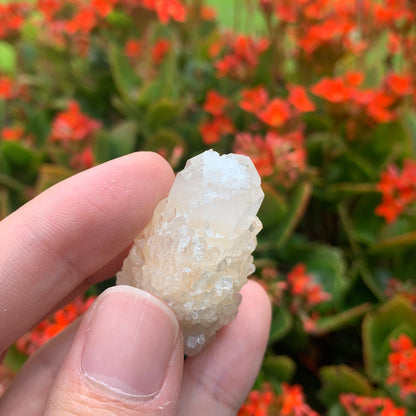 26g 4x3x2cm White Pineapple Quartz from Madagascar