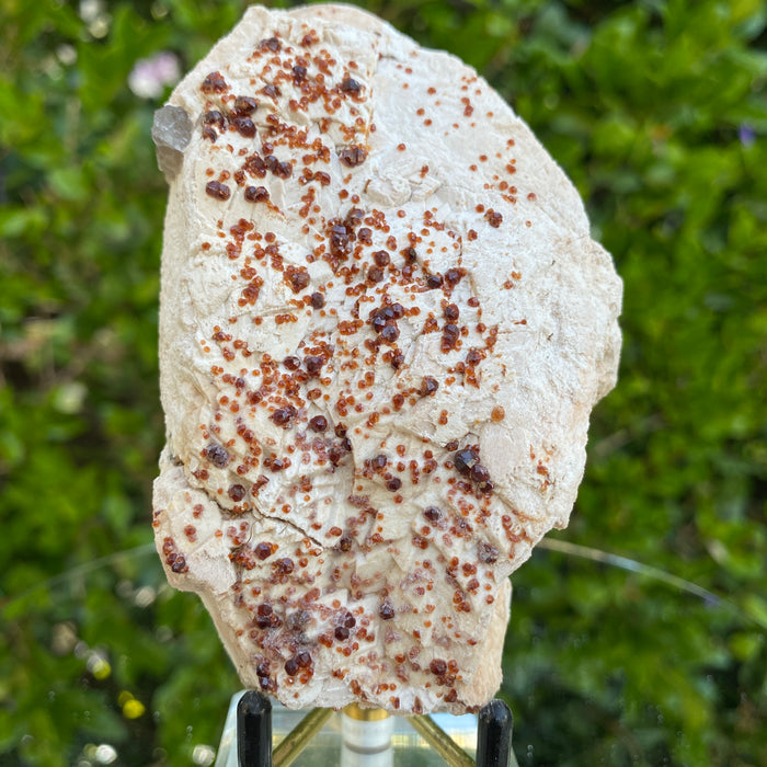 272g 10x7x5cm White Feldspar with Orange Spessartite Garnet from Tongbei, Fujian, CHINA