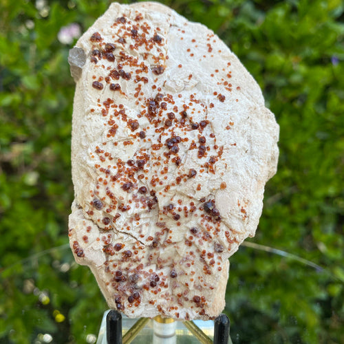 272g 10x7x5cm White Feldspar with Orange Spessartite Garnet from Tongbei, Fujian, CHINA