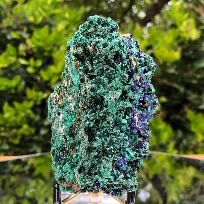 276g 10x8x6cm Shiny Blue Azurite w/ green Malachite from Sepon Mine, Laos
