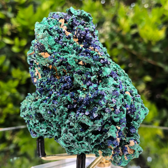 276g 10x8x6cm Shiny Blue Azurite w/ green Malachite from Sepon Mine, Laos