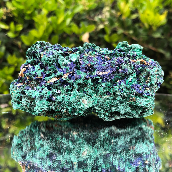 276g 10x8x6cm Shiny Blue Azurite w/ green Malachite from Sepon Mine, Laos
