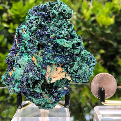 276g 10x8x6cm Shiny Blue Azurite w/ green Malachite from Sepon Mine, Laos