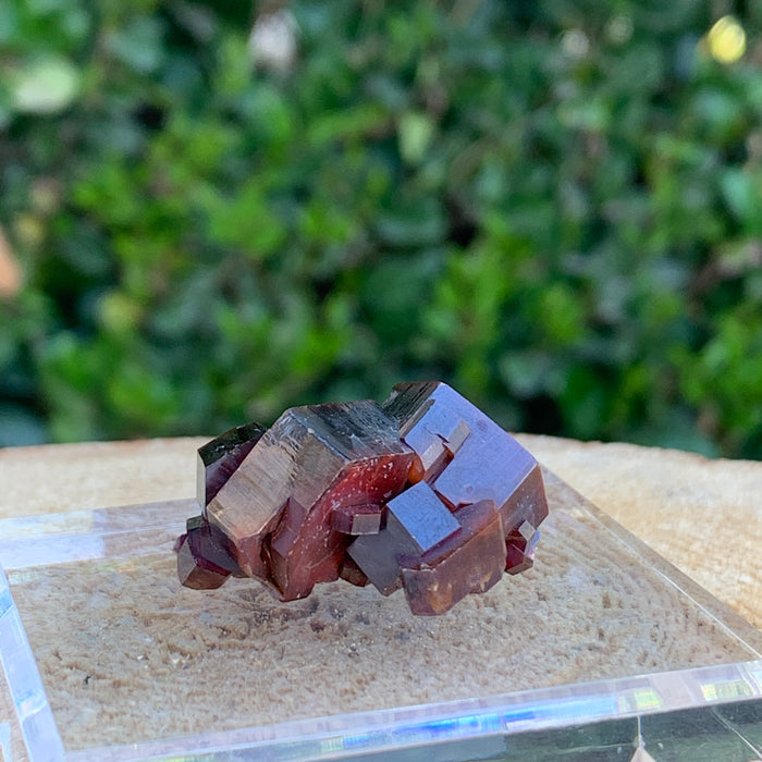 28.4g 3x2.5x1.5cm Red Vanadinite Nugget from Morocco