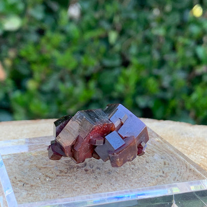28.4g 3x2.5x1.5cm Red Vanadinite Nugget from Morocco