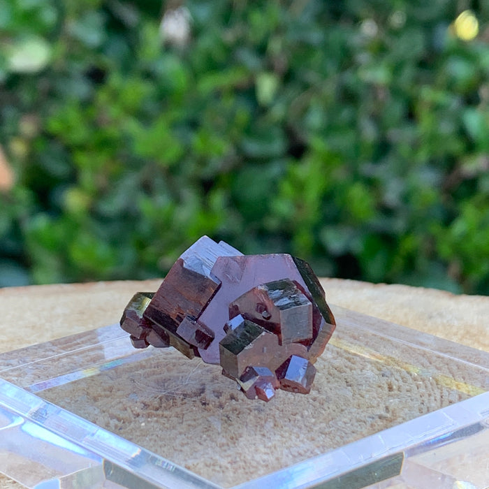28.4g 3x2.5x1.5cm Red Vanadinite Nugget from Morocco