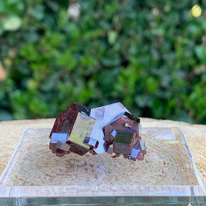 28.4g 3x2.5x1.5cm Red Vanadinite Nugget from Morocco