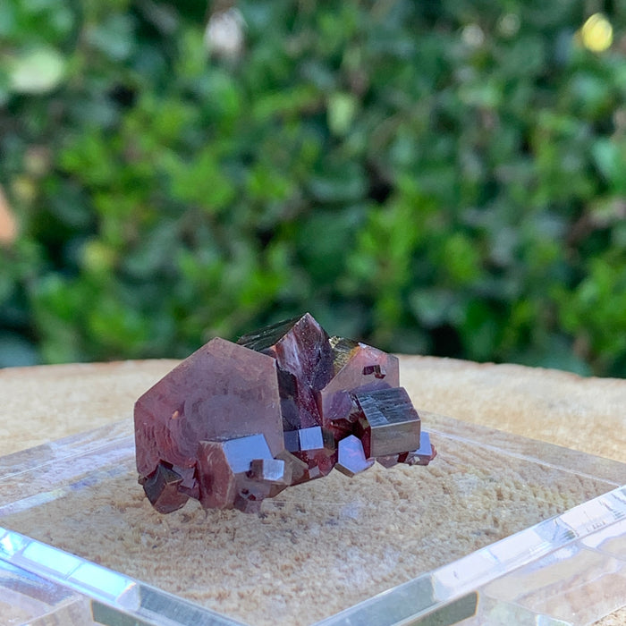 28.4g 3x2.5x1.5cm Red Vanadinite Nugget from Morocco