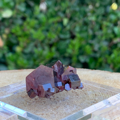 28.4g 3x2.5x1.5cm Red Vanadinite Nugget from Morocco