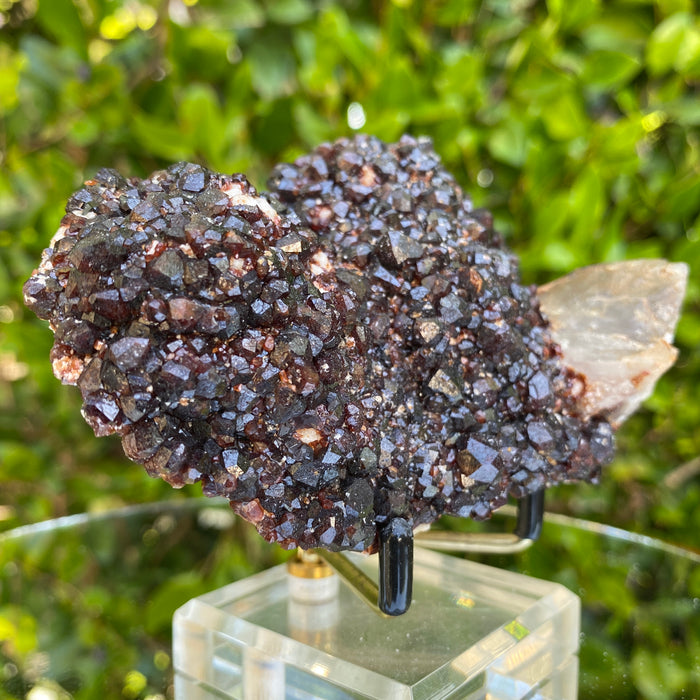 286g 10x7x4.5cm White Feldspar with Orange Spessartite Garnet from Tongbei, Fujian, CHINA