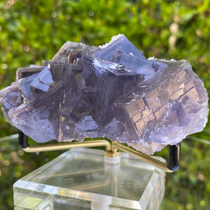 306g 11x7x4cm Phantom Matrix Dark Purple Fluorite from Balochistan, Pakistan