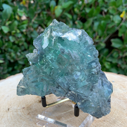 308g 11x9x4cm Clear Yaogangxian Fluorite from China