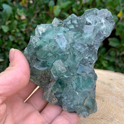 308g 11x9x4cm Clear Yaogangxian Fluorite from China