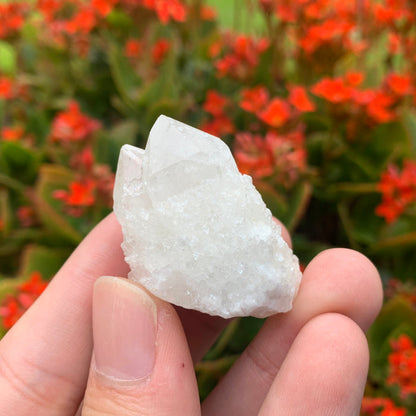 30g 4x3x2cm White Pineapple Quartz from Madagascar