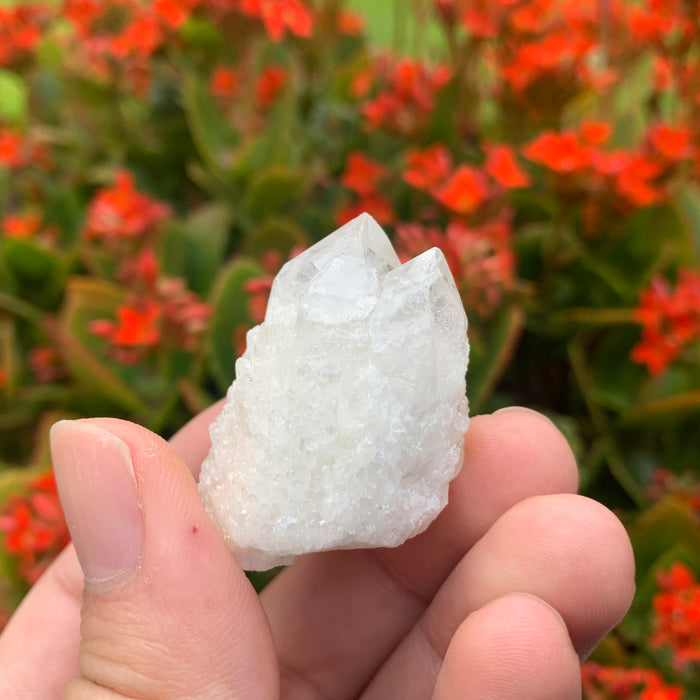30g 4x3x2cm White Pineapple Quartz from Madagascar