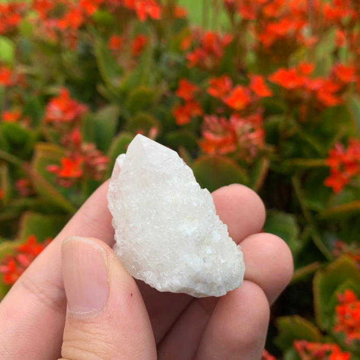 30g 4x3x2cm White Pineapple Quartz from Madagascar