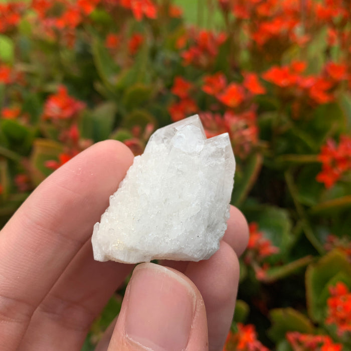 30g 4x3x2cm White Pineapple Quartz from Madagascar