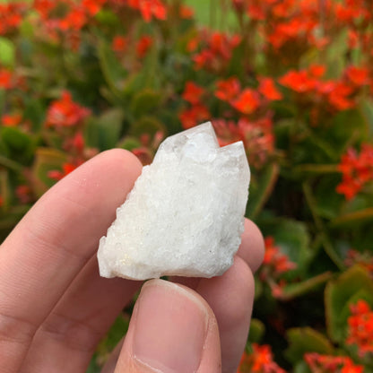 30g 4x3x2cm White Pineapple Quartz from Madagascar