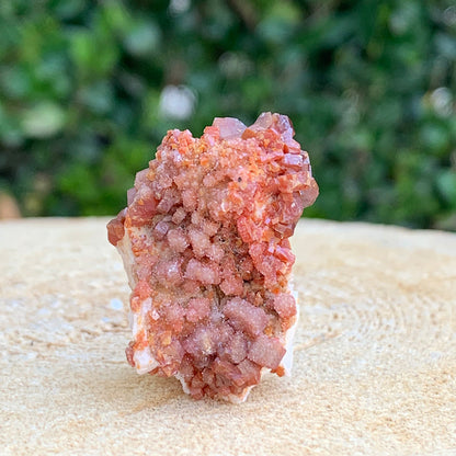 30g 4x3x3cm Shiny Red Vanadinite from Morocco