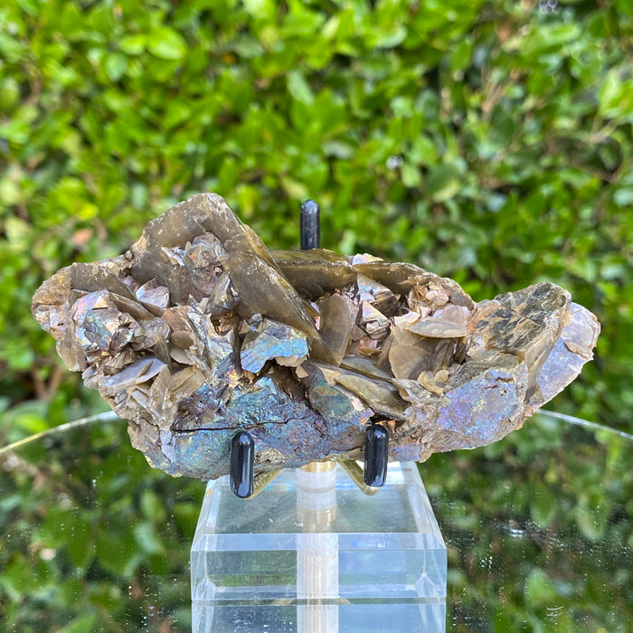 322g 12x5x6cm Brown Chalcopyrite with Gold Siderite from Guizhou,China