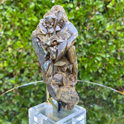 322g 12x5x6cm Brown Chalcopyrite with Gold Siderite from Guizhou,China