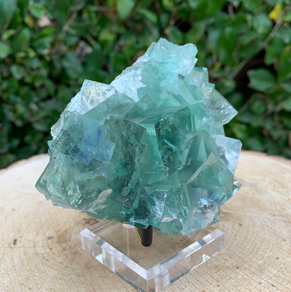 348g 8x8x5cm Clear Yaogangxian Fluorite from China