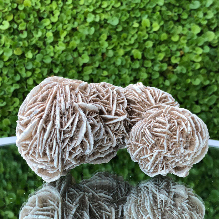 353g 11x7x7cm Desert Rose White Selenite from Morocco