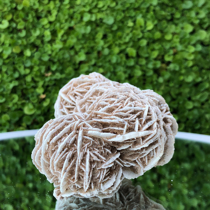 353g 11x7x7cm Desert Rose White Selenite from Morocco