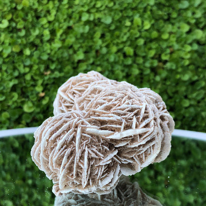 353g 11x7x7cm Desert Rose White Selenite from Morocco