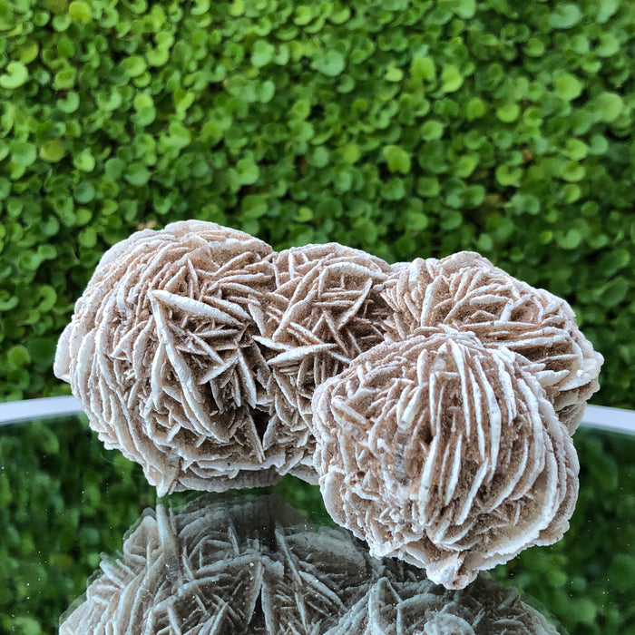 353g 11x7x7cm Desert Rose White Selenite from Morocco