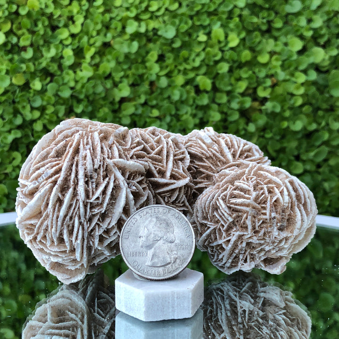 353g 11x7x7cm Desert Rose White Selenite from Morocco