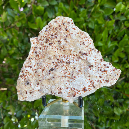 400g 12x10x3cm White Feldspar with Orange Spessartite Garnet from Tongbei, Fujian, CHINA