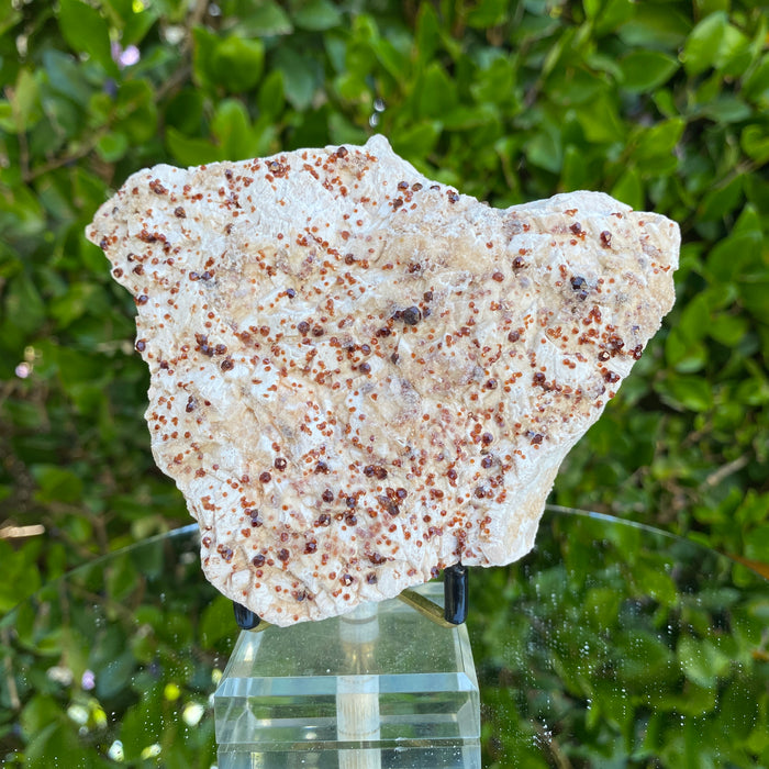 400g 12x10x3cm White Feldspar with Orange Spessartite Garnet from Tongbei, Fujian, CHINA