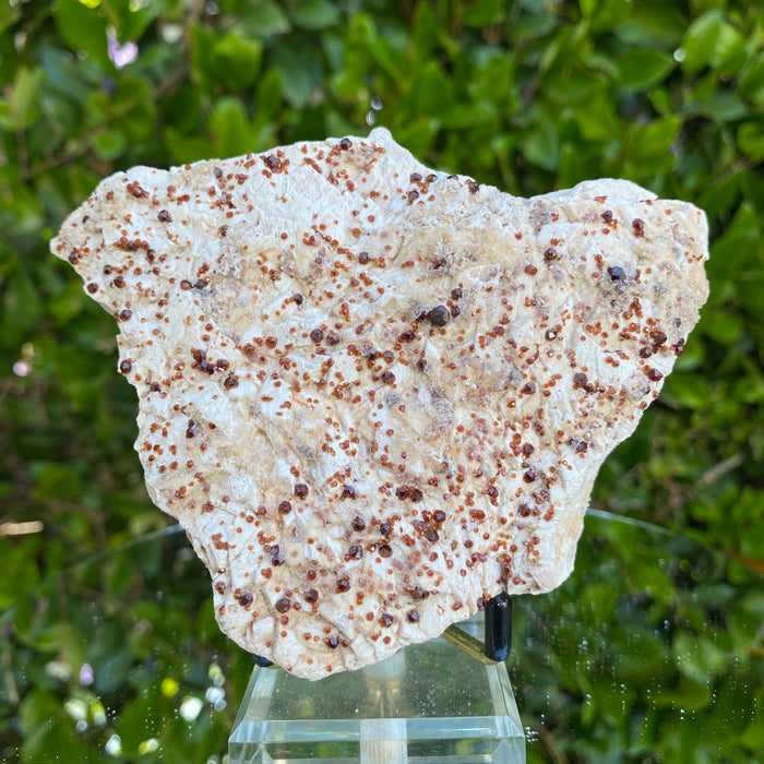 400g 12x10x3cm White Feldspar with Orange Spessartite Garnet from Tongbei, Fujian, CHINA