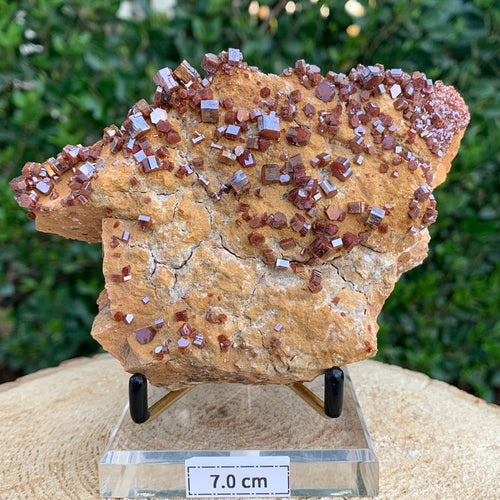 412g 13x9.5x5cm Red Vanadinite from Morocco