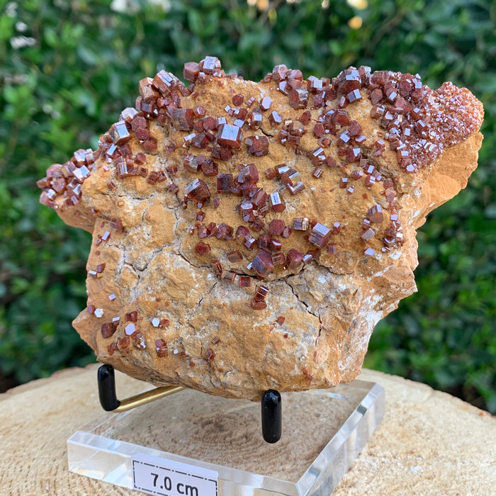 412g 13x9.5x5cm Red Vanadinite from Morocco