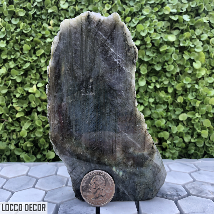 417g 4x9x13cm Rainbow Labradorite Side Polished from Mexico