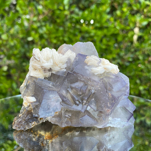 422g 10x7x7cm White Barite with  Purple Fluorite from Balochistan, Pakistan