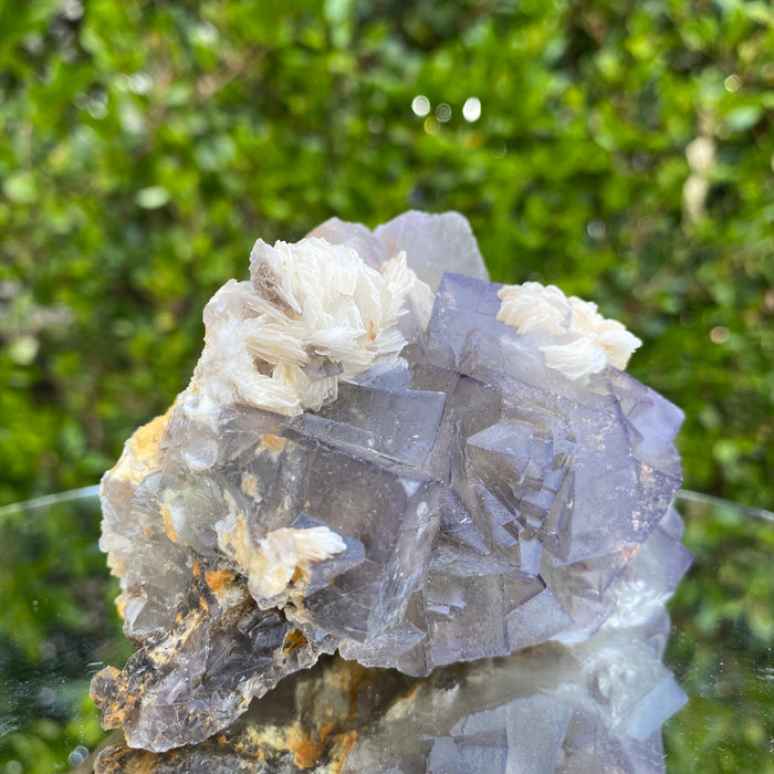 422g 10x7x7cm White Barite with  Purple Fluorite from Balochistan, Pakistan