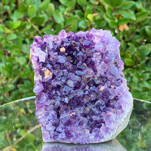 434g 10x9x5cm Purple Amethyst Cluster Cut Base from Uruguay