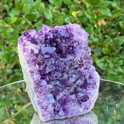 434g 10x9x5cm Purple Amethyst Cluster Cut Base from Uruguay