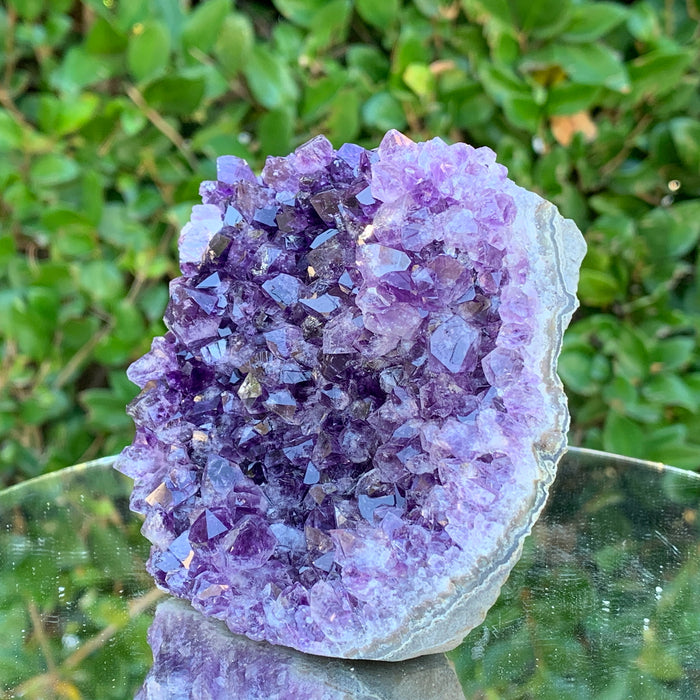 434g 10x9x5cm Purple Amethyst Cluster Cut Base from Uruguay