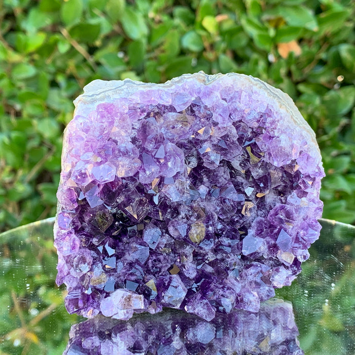 434g 10x9x5cm Purple Amethyst Cluster Cut Base from Uruguay