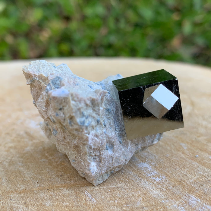44.0g 3x3x3cm Matrix intergrown Silver Spanish Pyrite from Spain