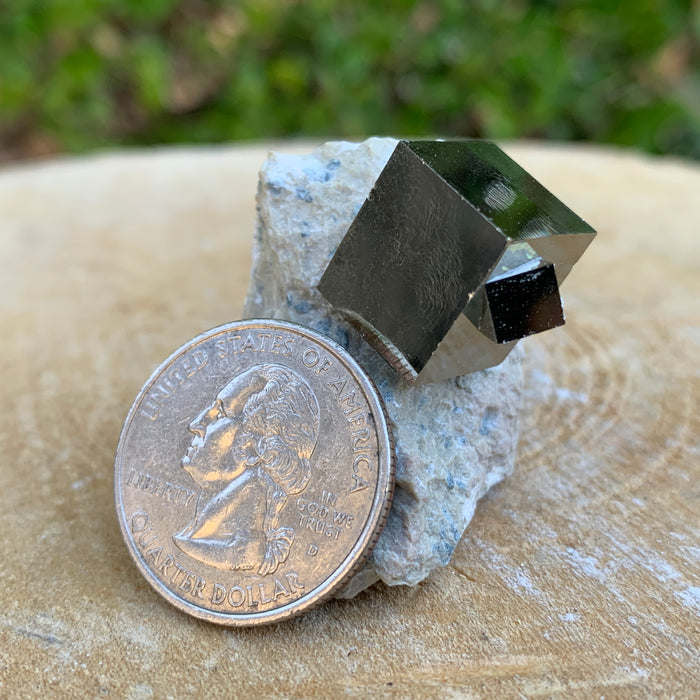 44.0g 3x3x3cm Matrix intergrown Silver Spanish Pyrite from Spain