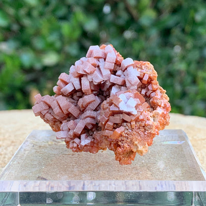 44.6g 5x4x3cm Shiny Red Vanadinite from Morocco